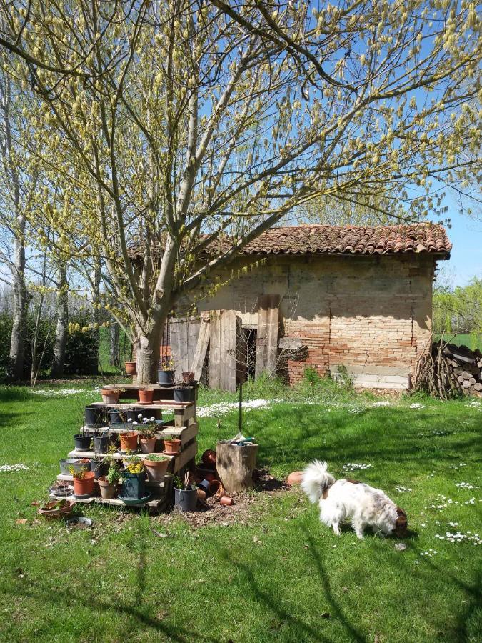 Il Boschetto Di Morgana Bed and Breakfast Castel San Pietro Terme Exteriör bild