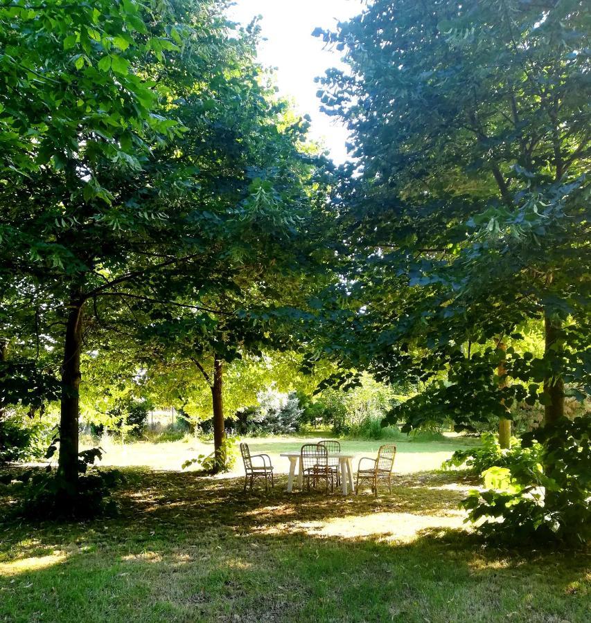 Il Boschetto Di Morgana Bed and Breakfast Castel San Pietro Terme Exteriör bild
