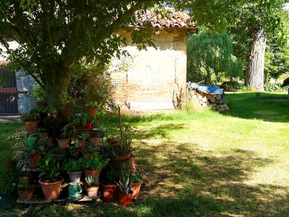 Il Boschetto Di Morgana Bed and Breakfast Castel San Pietro Terme Exteriör bild