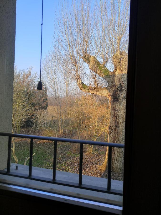 Il Boschetto Di Morgana Bed and Breakfast Castel San Pietro Terme Exteriör bild